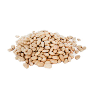 Poroto Tortola Legumbre