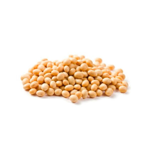 Poroto de Soya Legumbre