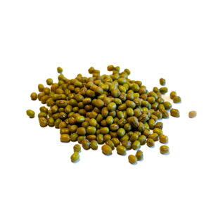 Poroto Mung Legumbres