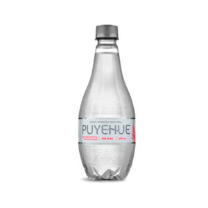Agua Mineral Natural Sin Gas 500 ml  Puyehue