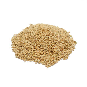 Alpiste de Consumo Humano Granel