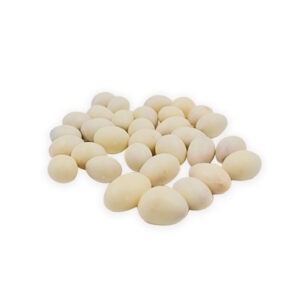 Mani cubierta de chocolate blanco Alval